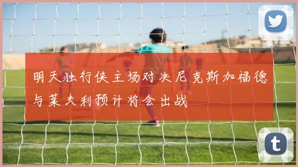 明天独行侠主场对决尼克斯加福德与莱夫利预计将会出战