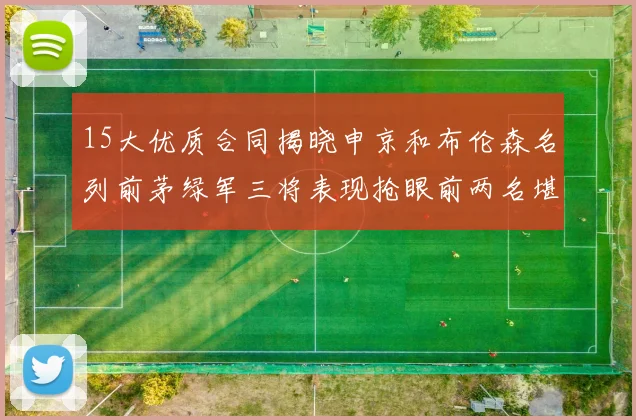 15大优质合同揭晓申京和布伦森名列前茅绿军三将表现抢眼前两名堪称传奇