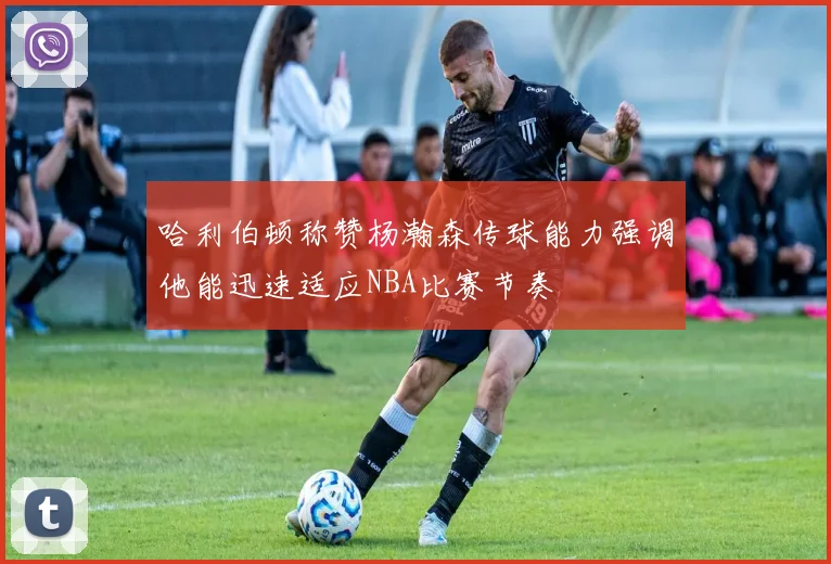 哈利伯顿称赞杨瀚森传球能力强调他能迅速适应NBA比赛节奏