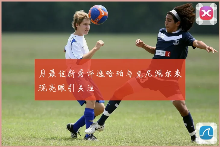 月最佳新秀评选哈珀与克尼佩尔表现亮眼引关注