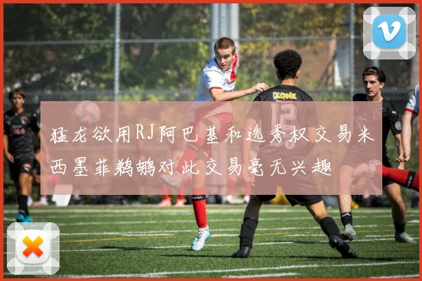 猛龙欲用RJ阿巴基和选秀权交易米西墨菲鹈鹕对此交易毫无兴趣