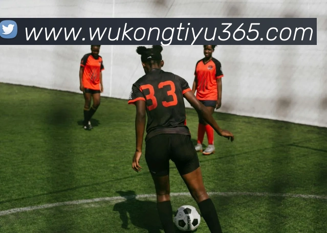 悟空体育APP 封面图